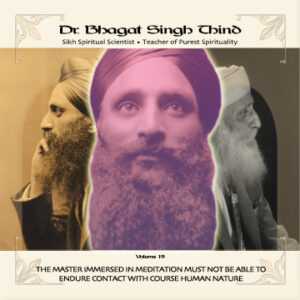 Volume 19: The Master Immersed in Meditation